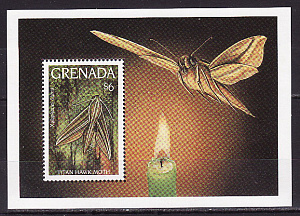 Гренада, 1993, Ночные бабочки, Насекомые, блок